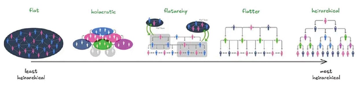 XIMNET - Types of organization structures