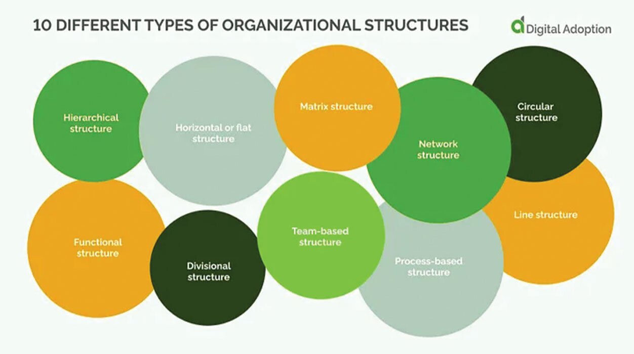 XIMNET - Other types of organizational structures by Digital Adoption
